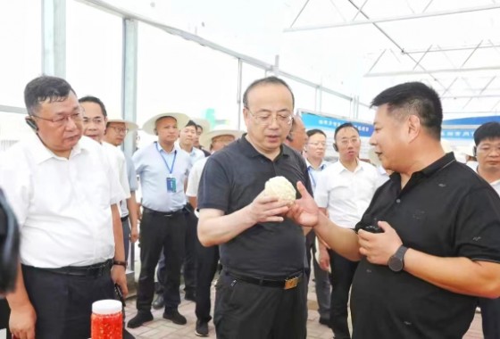 安徽省政協(xié)副主席、安慶市委書(shū)記張祥安于8月7日上午帶領(lǐng)著全市七縣三區(qū)主要領(lǐng)導(dǎo)蒞臨潛山市壽光模式智慧農(nóng)業(yè)產(chǎn)業(yè)示范園項(xiàng)目調(diào)研指導(dǎo)工作并召開(kāi)現(xiàn)場(chǎng)會(huì)議